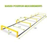 Raised Agility Ladder